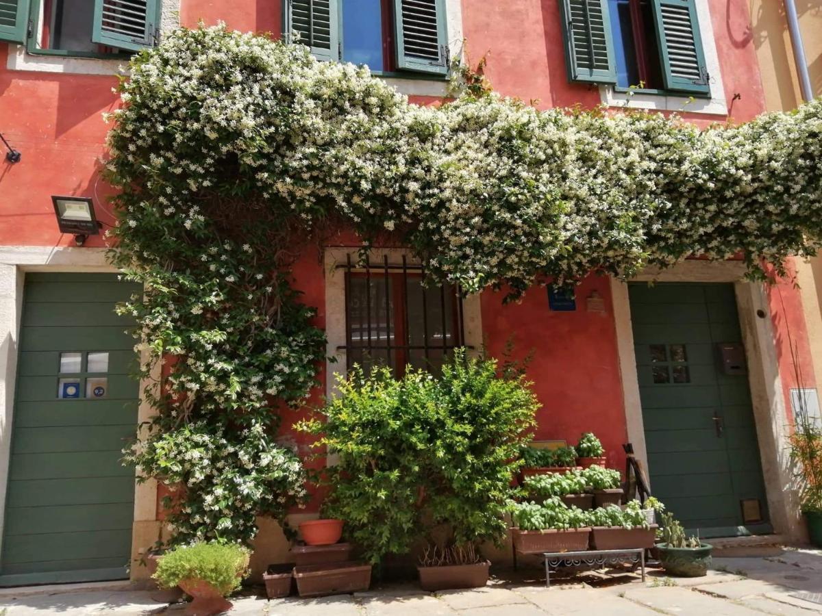 Apartment Alighieri Unique *